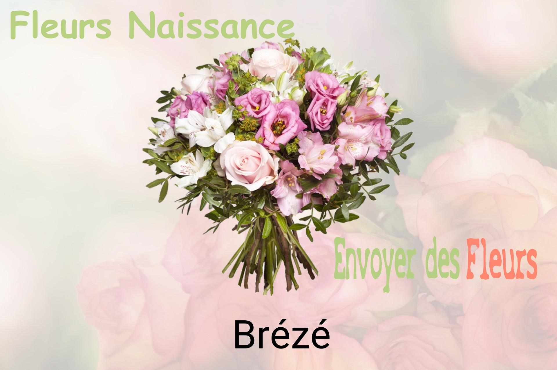 Bouquet de fleurs de naissance livré à Brézé