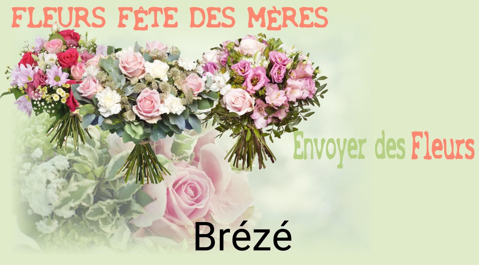 Bouquet de Fête des Mères livré à Brézé